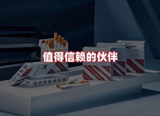 专业团队